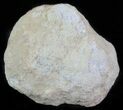 Keokuk Geode with Calcite Crystals - Missouri #62266-1